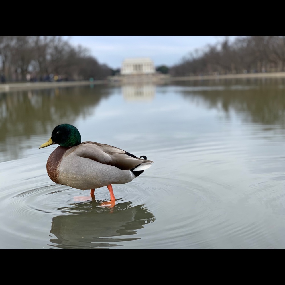 Bundle and save ♥️😁